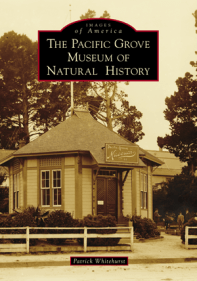 Museum-2